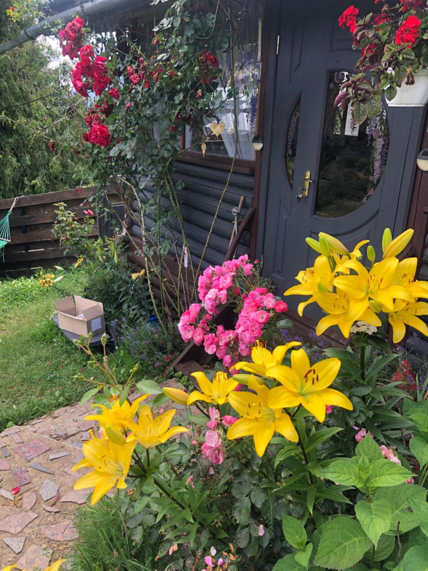 Казковий Дім Та Garden Два Будиночки В Горах З Чаном-Джакузі Slavske Buitenkant foto